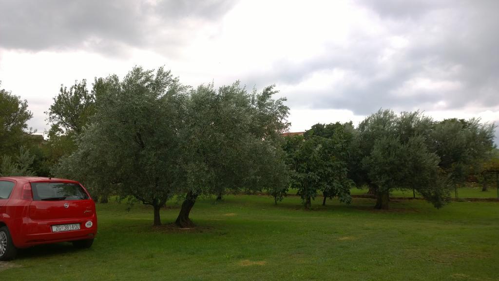 Apartments Free Parking Big Garden Peroj Kamer foto